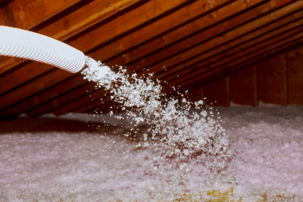 Best Cellulose Insulation in Country Clu, FL