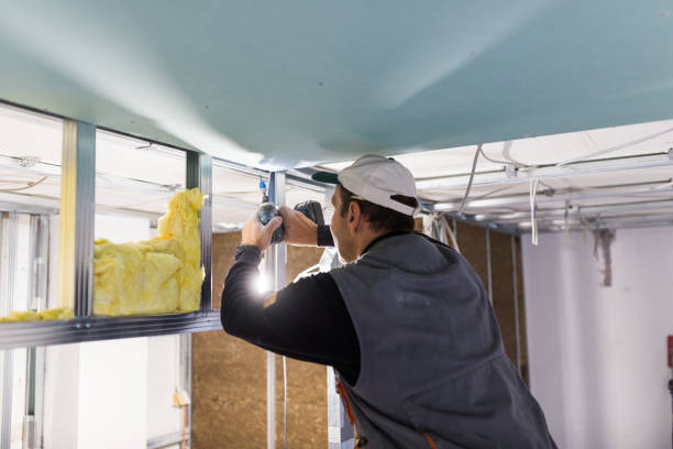 Best Insulation Maintenance and Repair in Country Clu, FL
