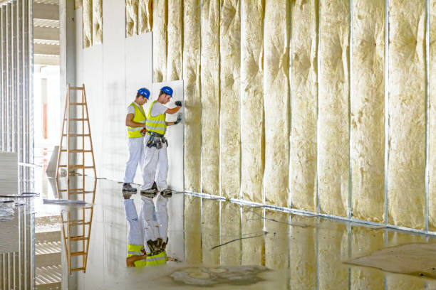 Best Cellulose Insulation in Country Clu, FL